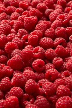 Fruit background with ripe raspberries.