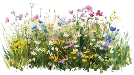 Wild meadow flowers. Digital illustration.