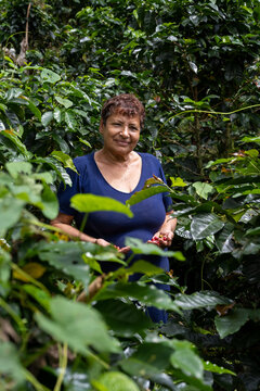 Woman with red ripe coffee berries