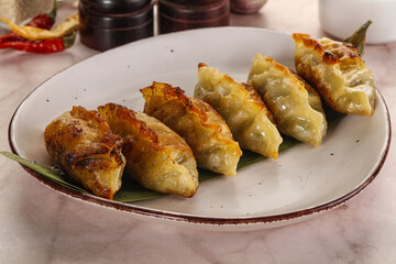 Fried Japanese stuffed dumplings - Gyoza