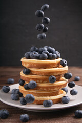 levitation, blueberry, pancake, plate, food, nutrition, breakfast
