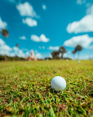 golf ball on the green coral gables miami