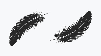 Feather icon symbol isolated vector.