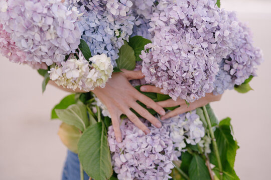 Bouquet of blooming light purple flowers