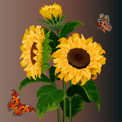 Sunflowers and butterflies in illustration.Vector illustration with sunflowers and a butterfly on an abstract background.