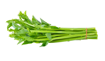 Malabar spinach or Ceylon spinach transparent png