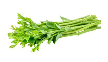 Malabar spinach or Ceylon spinach transparent png