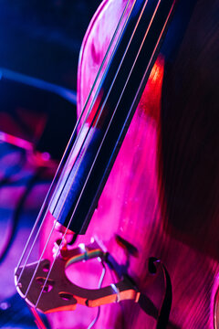 Double bass in neon lights in dark hall