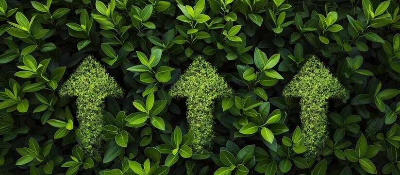 Upward arrow made of lush green grass, symbolized eco friendly progress positive growth