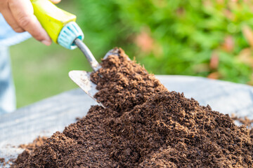 Gardener woman holding peat moss organic matter improve soil for agriculture organic plant growing, ecology concept.