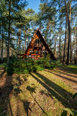 Wooden house in the forest.