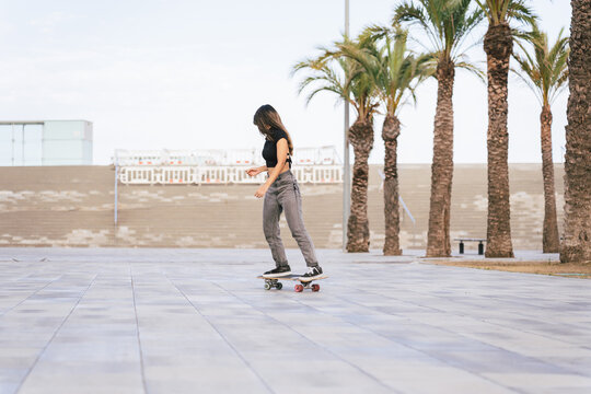 Skating with palm trees