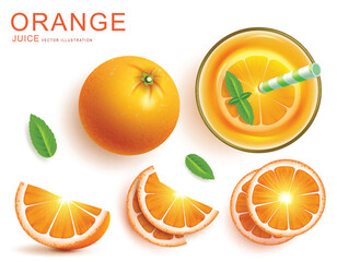 Summer orange juice vector set design. Orange juice beverage in glass drink with grapefruit cocktail refreshment for tropical season. Vector illustration summer orange drink elements. 
