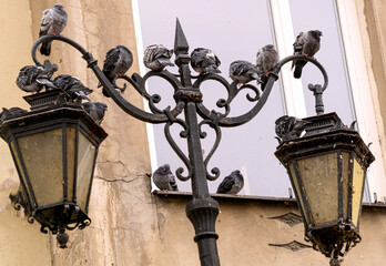 Old vintage street lighting in the Old Town of Krakow. - 751219619