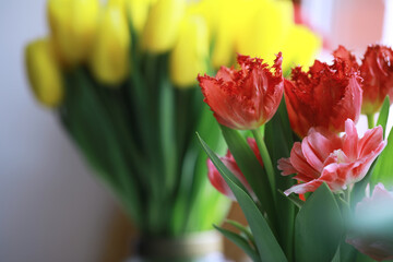 Tulip flowers close-up in a vase. Mothers Day.