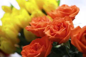Tulip flowers close-up in a vase. Mothers Day.