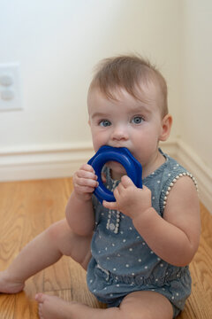 Portrait of baby chewing on a toy at home