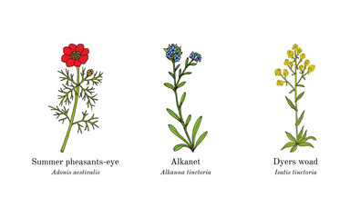 Collection of edible and medicinal plants