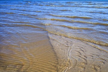 Sea bottom background. Shallow water. Sea sand.