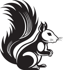 black and white squirrel vector illustration