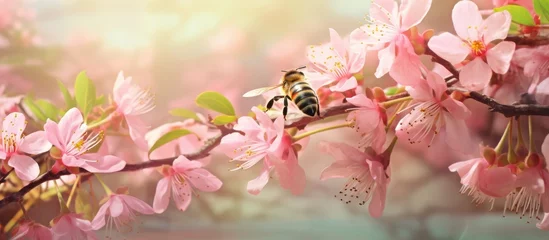 Tuinposter A bee is perched on a branch of a blossoming tree, surrounded by vibrant pink flowers and green foliage. The bee is seemingly collecting honey from the flowers, adding to the summer scene of the © Elture