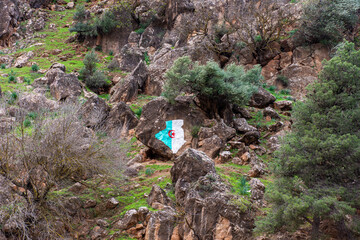 Low-angle view of the Algeria flag painted on a rock formation in the mountain.
