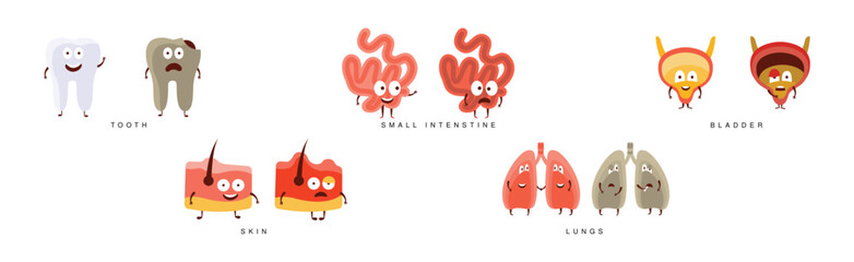 Happy Body Internal Organ with Face Vector Set