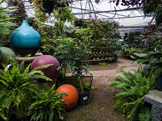 Inside A Greenhouse with Tropical Plants and Decorative Ceramics