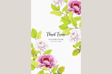 peonies watercolour floral background and frame illustration