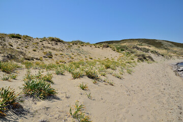 at the beach - Paralia Saravari, Ag. Theodoros, Lemnos, Greece, Aegean sea