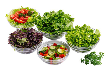 Assorted Lettuce Salads Isolated On Transparent Background