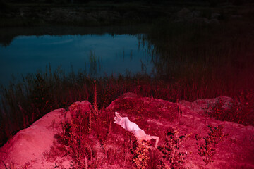 Neon light portrait of woman at night