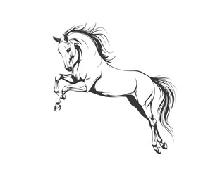 Sketch of a playing horse, black lines, vector graphic icon animal