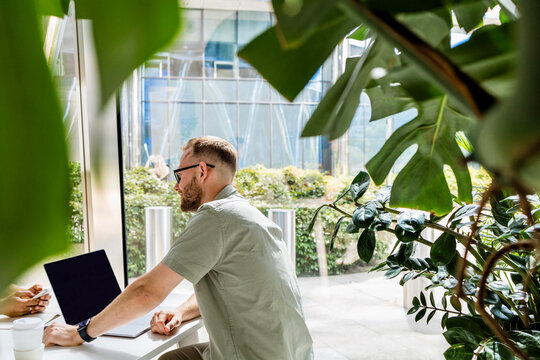 A man works in an office with a lot of plants