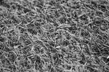 Close up soccer field lines. Background soccer pitch grass football stadium ground view. Stadium...