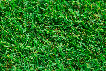 Close up soccer field lines. Background soccer pitch grass football stadium ground view. Stadium field ground grass detail.