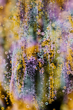 Bubbling Colors