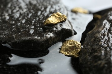 Shiny gold nuggets on wet stones, closeup