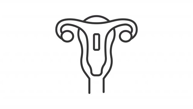 Animated intrauterine device icon. Birth control implant line animation. Reproductive healthcare. Black illustration on white background. HD video with alpha channel. Motion graphic