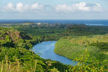 Landscape view of the beautiful Wailua Complex on the east side of the island of Kauai along the...