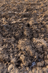 frozen land in an agricultural plowed field in sunny weather