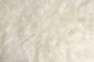 white plush carpet, long pile background