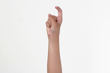 Alphabet finger spelling X, in sign language isolated on white background