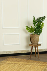 Plants and flowers are on the wooden coffee table in front of the wall. Home design, decoration. Detail shot.