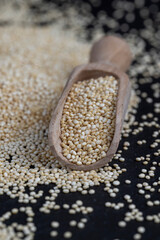 scattered white quinoa seeds, close up
