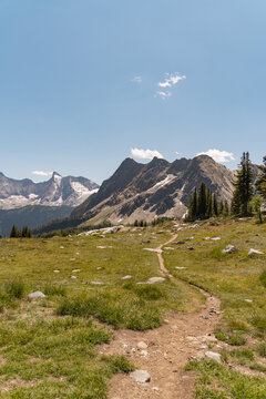 The Trail Continues