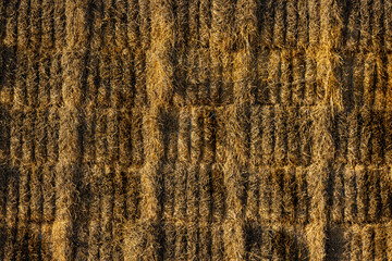 wheat straw stacked in the field after harvest