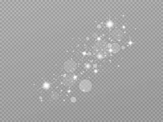 Shining stars.White shiny particles on a transparent background.Sparkling star dust.For packaging...