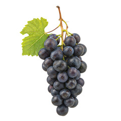 Fototapeta premium Bunch of Black Grapes with Leaf Isolated 
