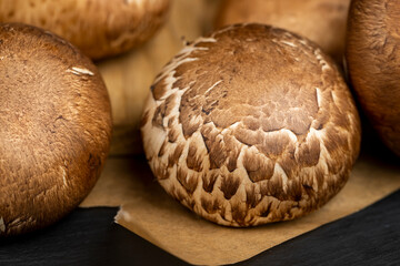 fresh brown mushrooms for cooking, edible - 751252615